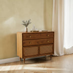 Homecrest Meade solid Sheesham wood chest of drawers with honey finish, two drawers, and rattan cabinet doors.