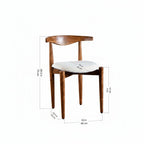 Amberley dining chair — published source dimension view