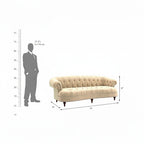 Homecrest Dunmore Chesterfield sofa in beige velvet with tufted detailing and dark wooden legs, shown with scale guide.