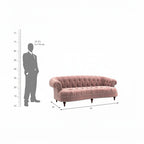 Homecrest Dunmore 3-seater Chesterfield sofa in rose dust velvet with tufted back and nailhead trim, dimension diagram.