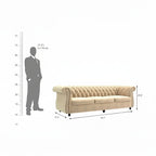 Homecrest Berkley 3-seater Chesterfield sofa in husk velvet with tufted back and rolled arms, shown with dimension scale.
