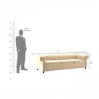 Homecrest Oakley three-seater velvet Chesterfield sofa in beige with tufted back and armrests, shown with scale guide.