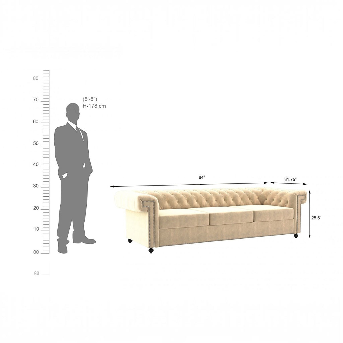 Homecrest Oakley three-seater velvet Chesterfield sofa in beige with tufted back and armrests, shown with scale guide.