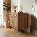Homecrest Vellore solid sheesham wood chest of drawers with honey finish, rattan cabinet doors, and gold accents.