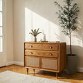 Homecrest Meade solid Sheesham wood chest of drawers with honey finish, two drawers, and rattan cabinet doors.